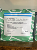 Guatemala Finca San Bernardo Hybrid Pacamara - Washed